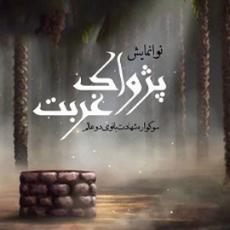 پژواک غربت